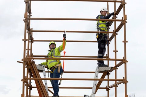 Ledger Scaffolding